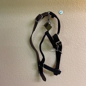 Horse harness